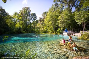 Springs na Flórida: atrações além das compras, praias e parques temáticos